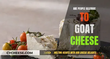 Goat Cheese Allergies: Are They Real?