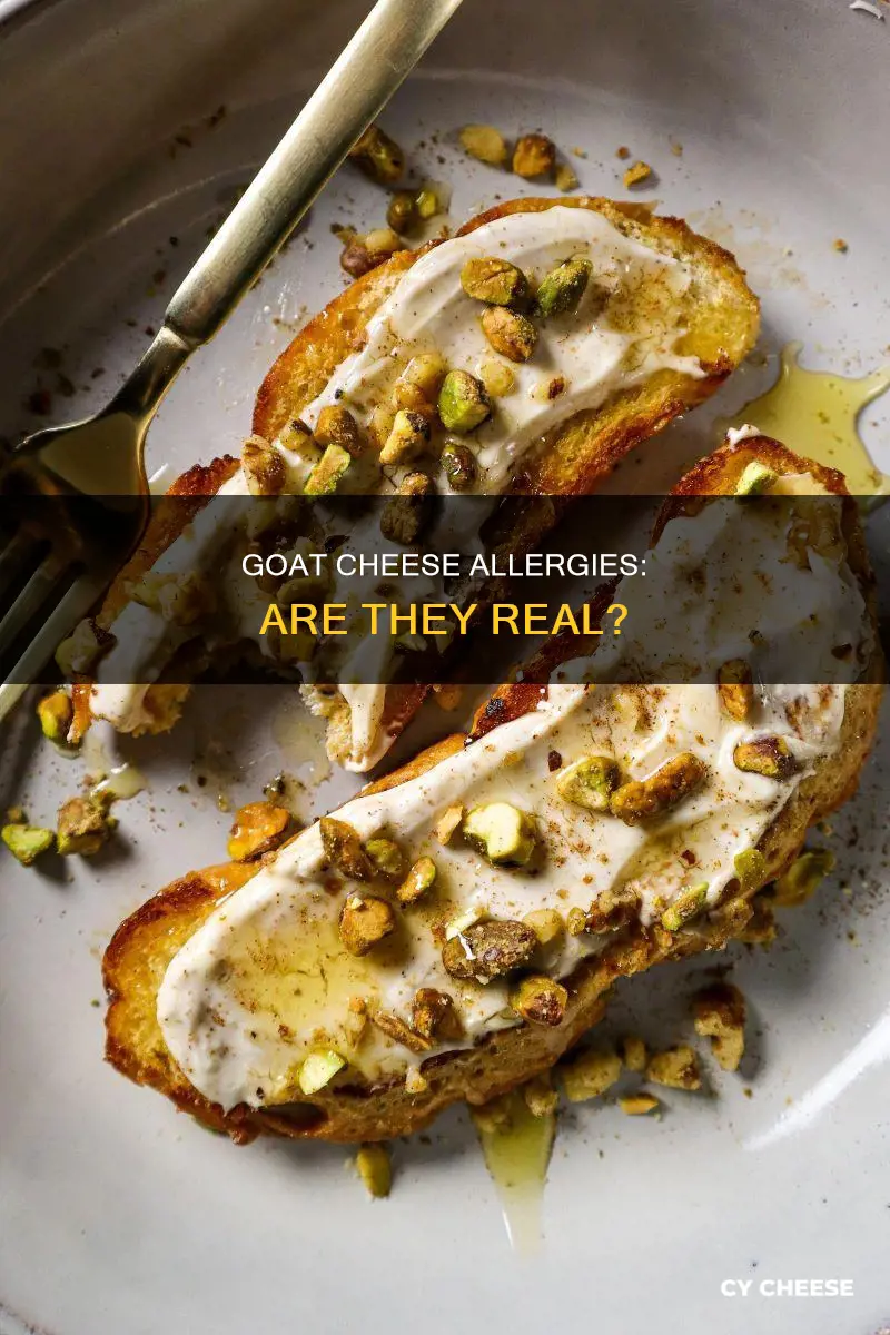 are people allergic to goat cheese