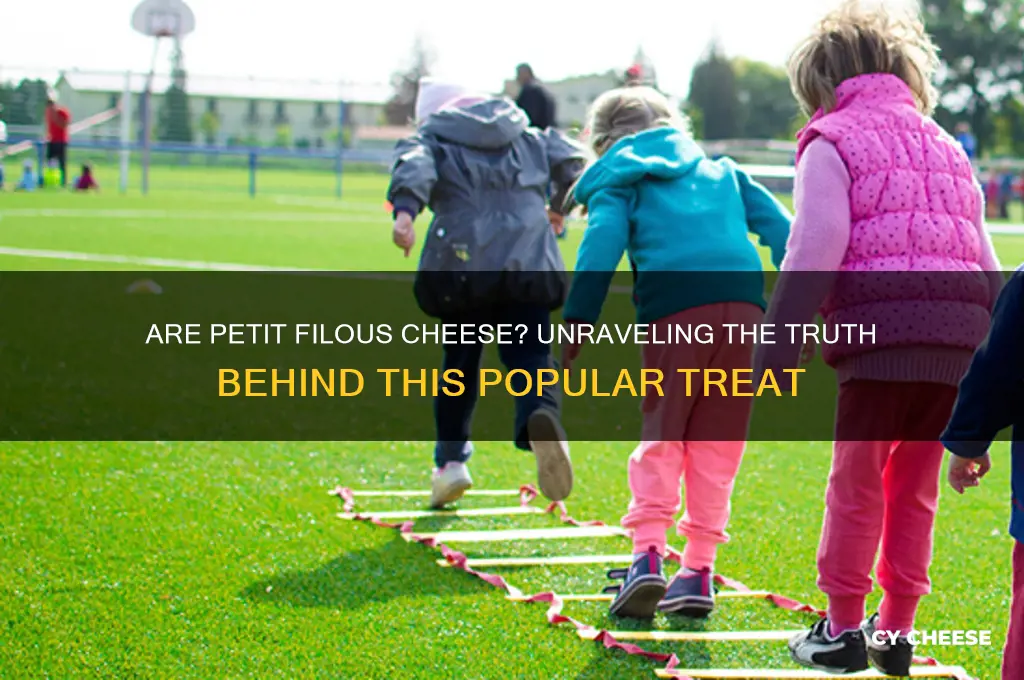 are petit filous cheese