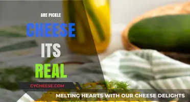 Unraveling the Mystery: Are Pickle Cheese Its a Real Snack?