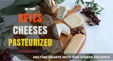 Are Point Reyes Cheeses Pasteurized? A Comprehensive Guide