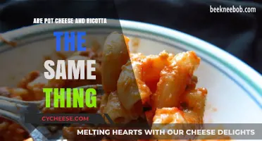 Pot Cheese vs. Ricotta: Unraveling the Differences and Similarities