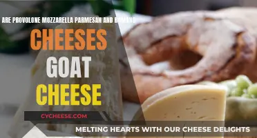 Goat Cheese: Parmesan, Provolone, Mozzarella, and Romano Explained