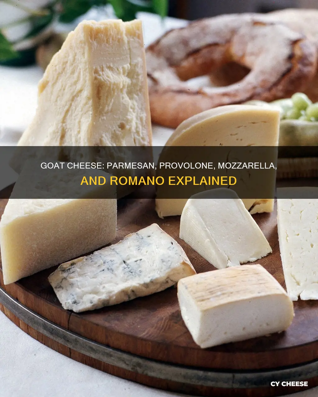 are provolone mozzarella parmesan and romano cheeses goat cheese