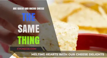 Queso vs. Nacho Cheese: Unraveling the Melty, Cheesy Mystery