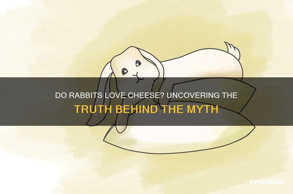 are rabbits attracted to cheese