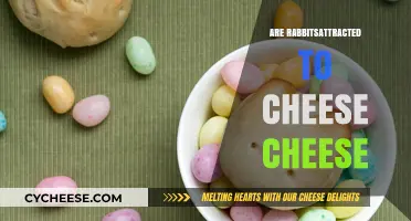 Do Rabbits Love Cheese? Uncovering the Truth Behind the Myth