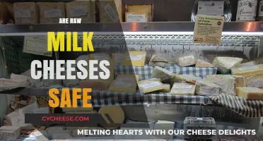 Raw Milk Cheeses: Safety Concerns, Benefits, and What You Need to Know