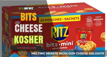 Are Ritz Bits Cheese Kosher? Exploring Certification and Ingredients