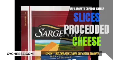 Sargento Cheddar: Is It Processed Cheese?