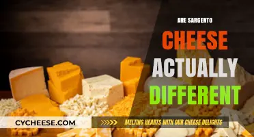 Are Sargento Cheeses Truly Unique? Exploring the Differences and Similarities