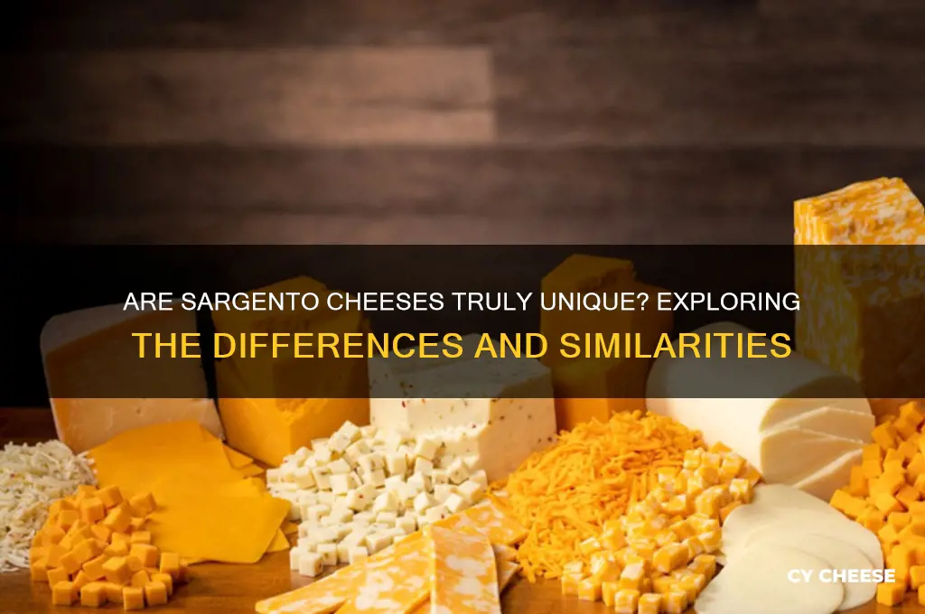 are sargento cheese actually different