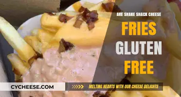 Gluten-Free Shake Shack: Are Cheese Fries Safe?