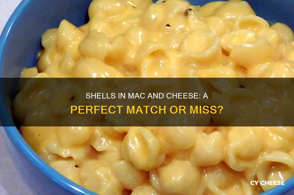 are shells good for macaroni and cheese