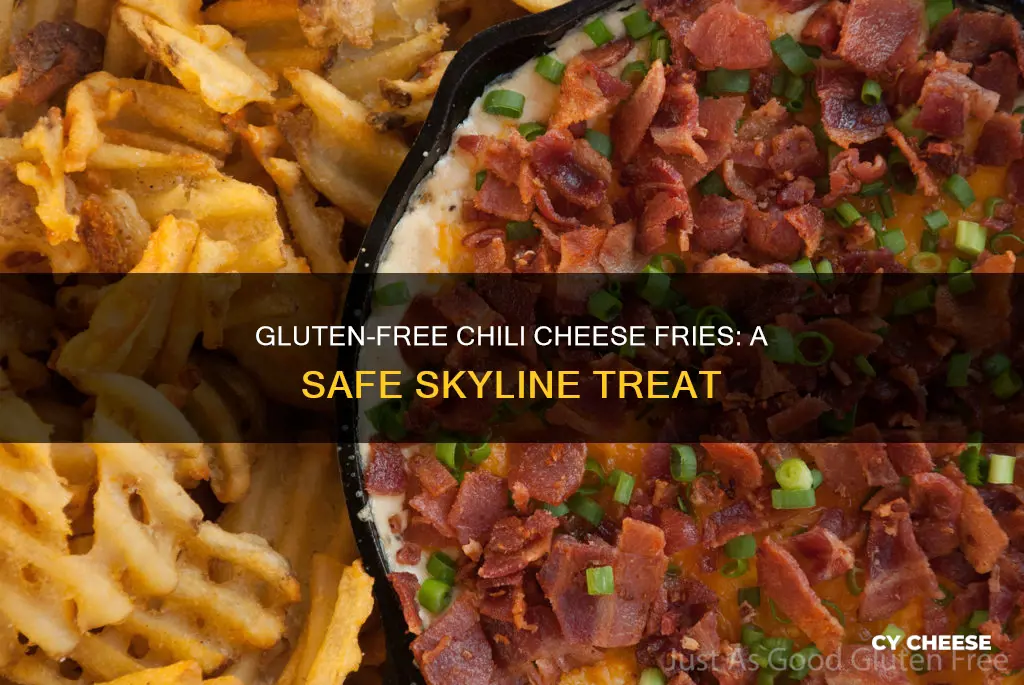 are skyline chili cheese fries gluten free