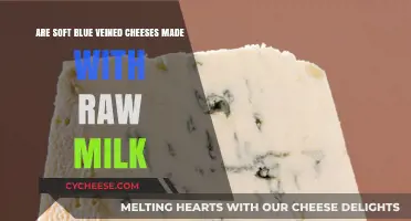 Exploring Soft Blue Veined Cheeses: Raw Milk or Not?