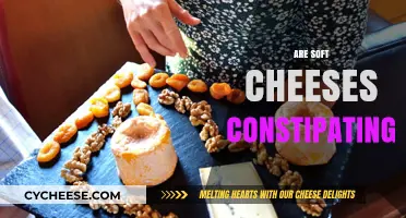 Soft Cheeses and Constipation: Unraveling the Digestive Impact