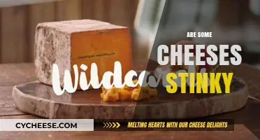 Why Some Cheeses Smell So Strong: Unraveling the Stinky Mystery