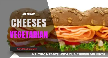 Are Subway Cheeses Vegetarian? A Comprehensive Guide for Veggie Lovers
