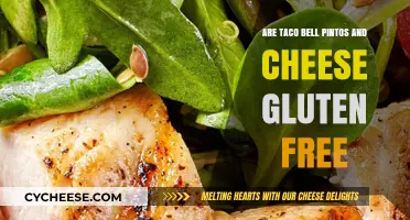 Gluten-Free Pintos and Cheese at Taco Bell: What You Need to Know
