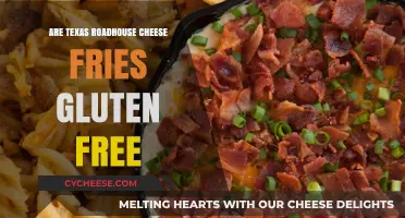 Gluten-Free Diet: Texas Roadhouse Cheese Fries