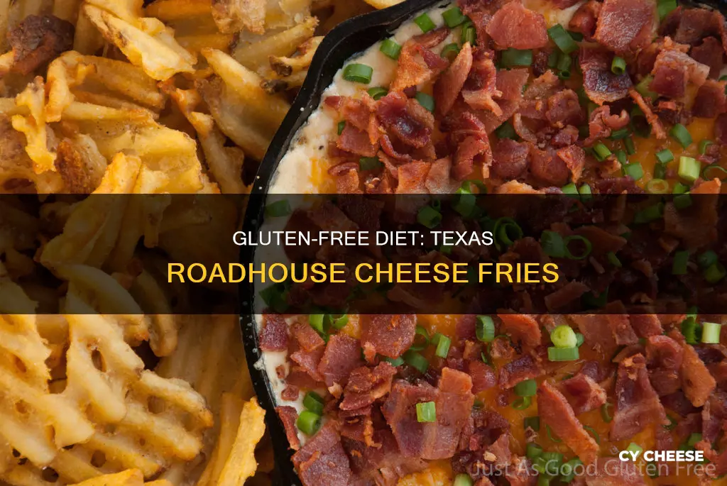 are texas roadhouse cheese fries gluten free