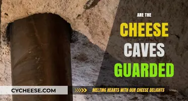 Are Cheese Caves Guarded? Unveiling the Secrets of Aged Cheese Security