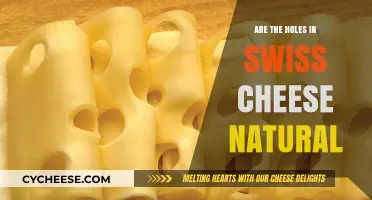Swiss Cheese Holes: Nature's Design or Human Intervention?