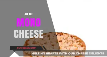 Exploring the Unique Flavors and Origins of Mono Cheese Varieties