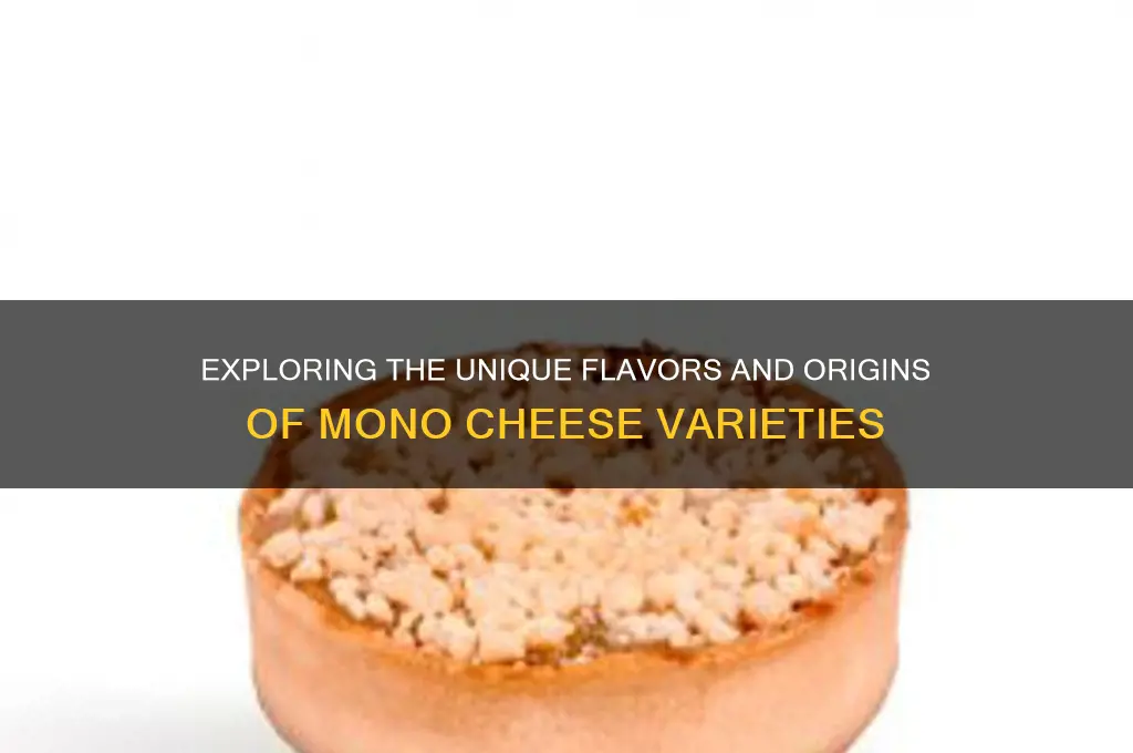 are the mono cheese