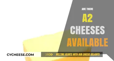 Exploring A2 Cheese Options: Are They Available for Consumers?