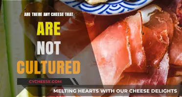 Uncultured Cheese: Exploring Varieties Made Without Culturing Process