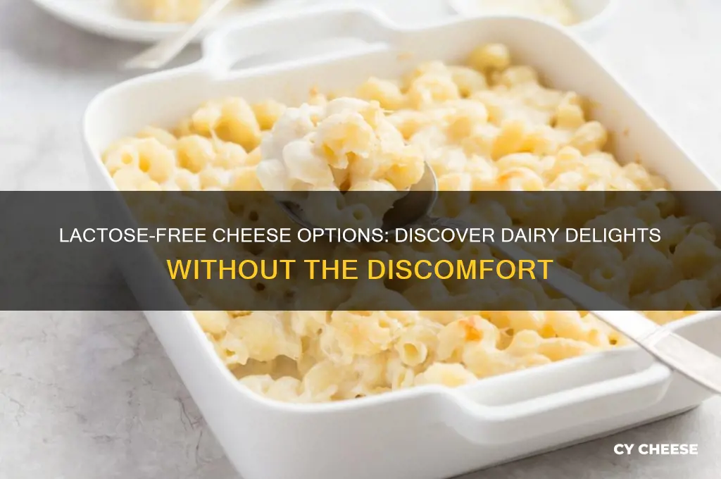 are there any cheeses that do not have lactose