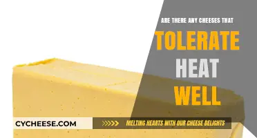 Heat-Resistant Cheeses: Which Varieties Melt Perfectly Without Burning?