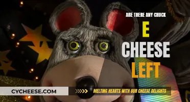 Chuck E. Cheese's Last Stand: Are Any Left?