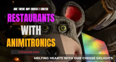 Chuck E. Cheese's Animatronics: Where to Find Them?