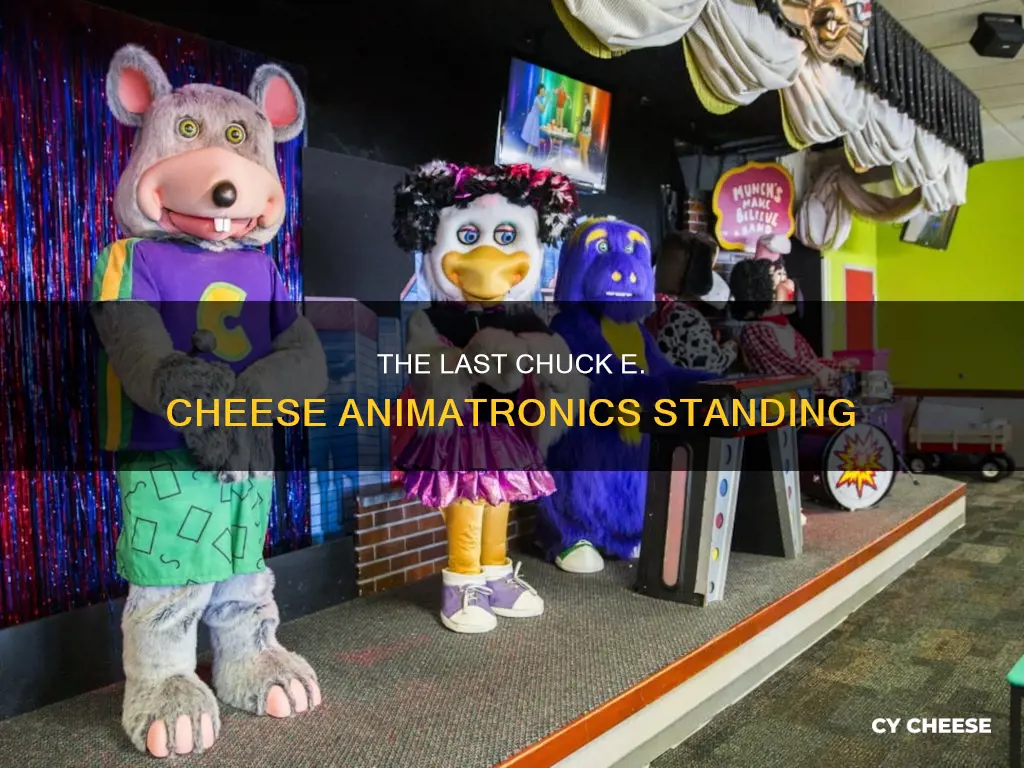 are there any chuck e cheese with animatronics left