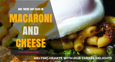 Mac and Cheese: Does Egg Belong?