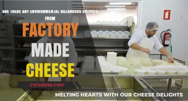 Factory Cheese: Unveiling Hidden Environmental Hazards