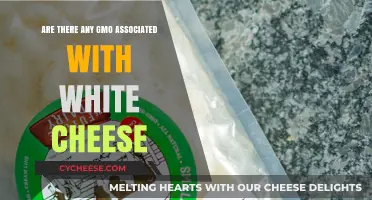 White Cheese and GMOs: Unraveling the Connection in Dairy Products