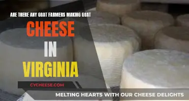 Goat Farmers' Cheese Craft: Virginia's Hidden Dairy Delights