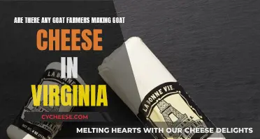 Goat Cheese in Virginia: Local Farmers, Unique Flavors
