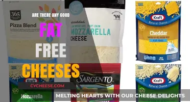 Exploring Fat-Free Cheese Options: Are They Truly Delicious and Healthy?
