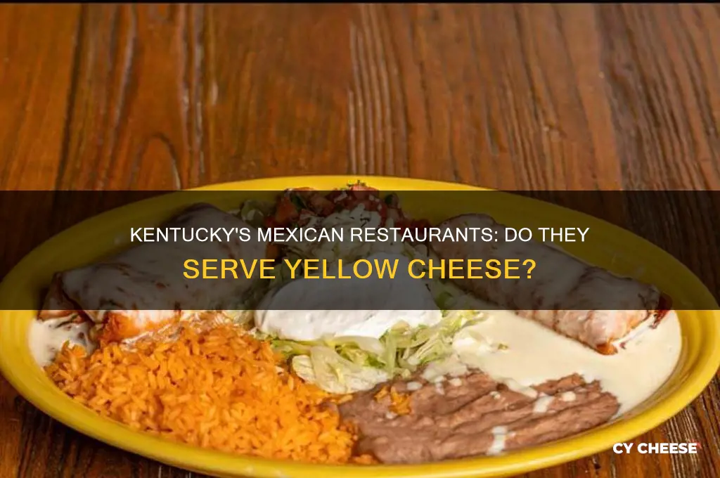 are there any mexican restaurants in kentucky with yellow cheese