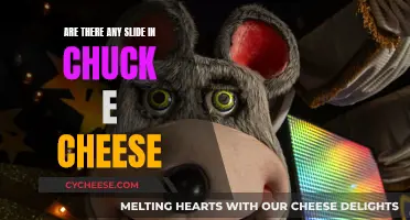 Chuck E. Cheese's Slides: Fun and Games for All!