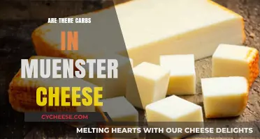 Muenster Cheese: Carb Content and Nutritional Facts