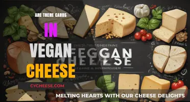 Vegan Cheese: Carb Content and Nutritional Facts