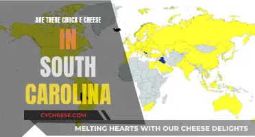 Chuck E. Cheese: South Carolina Locations and Beyond