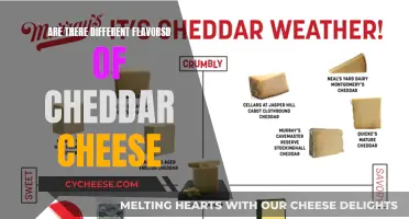 Exploring the Cheddar Spectrum: More Than Just Yellow!