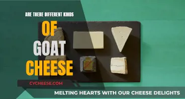 Goat Cheese Varieties: A Diverse and Delicious World